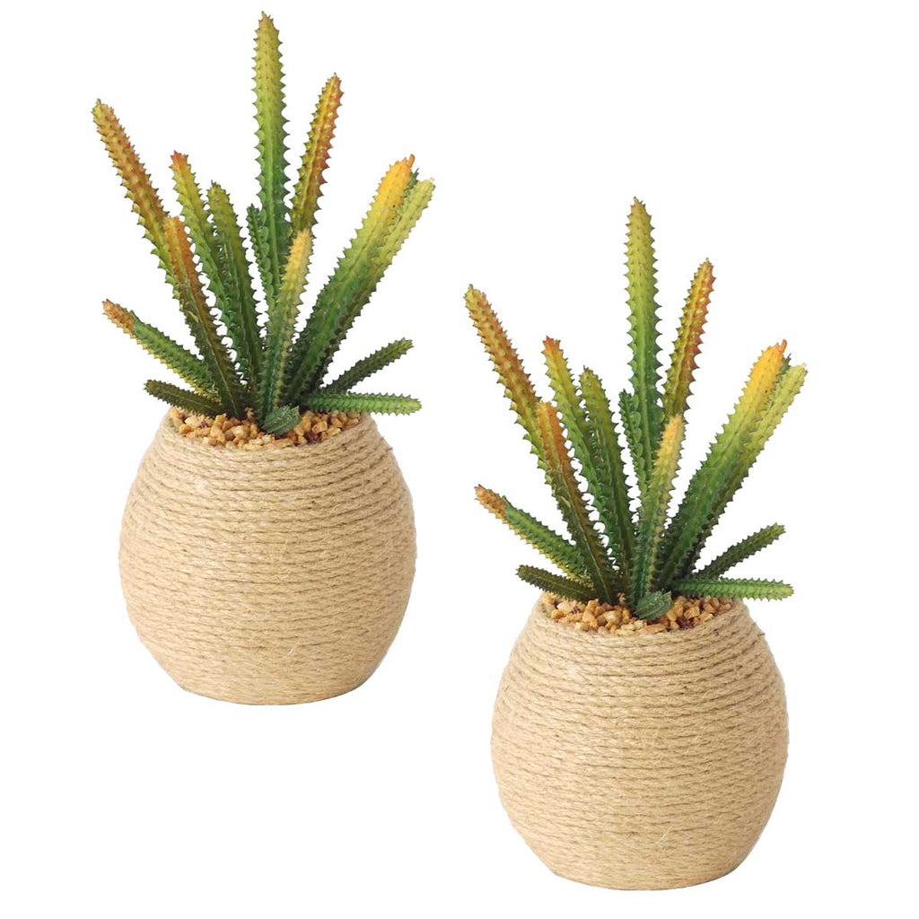 Artificial Succulents in Hemp Containers | 2-Pack | 10" | Vintage Home