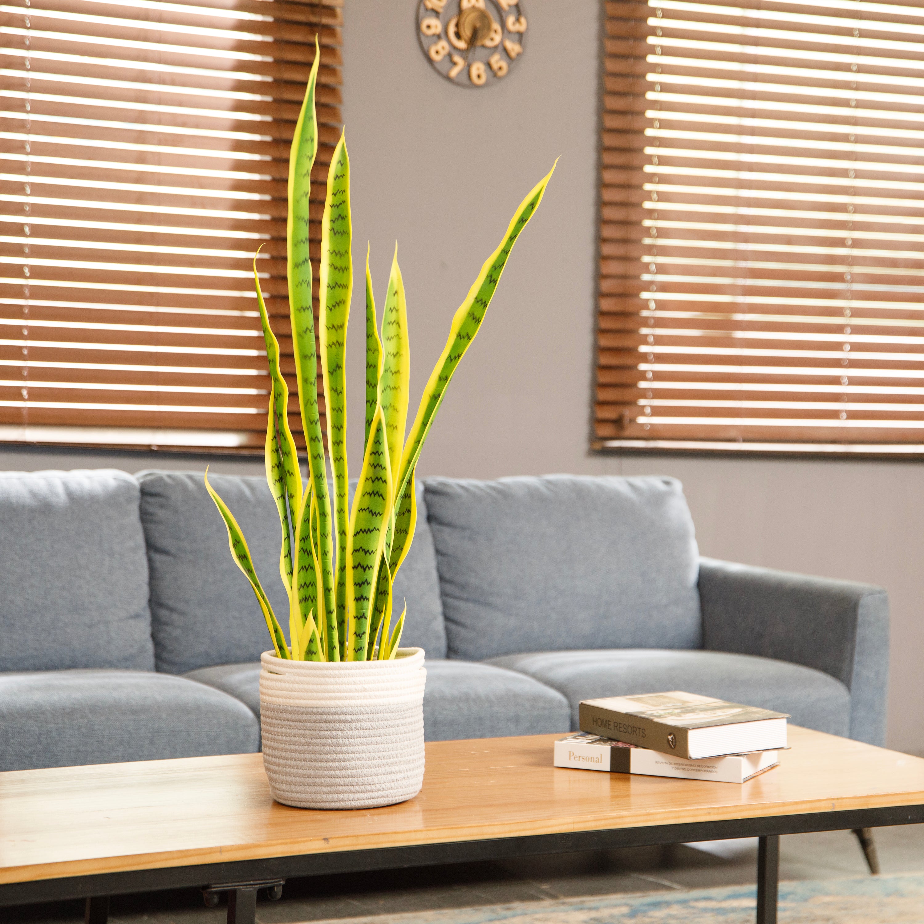faux snake plant in basket Artificial Golden Snake Plant in a rope basket