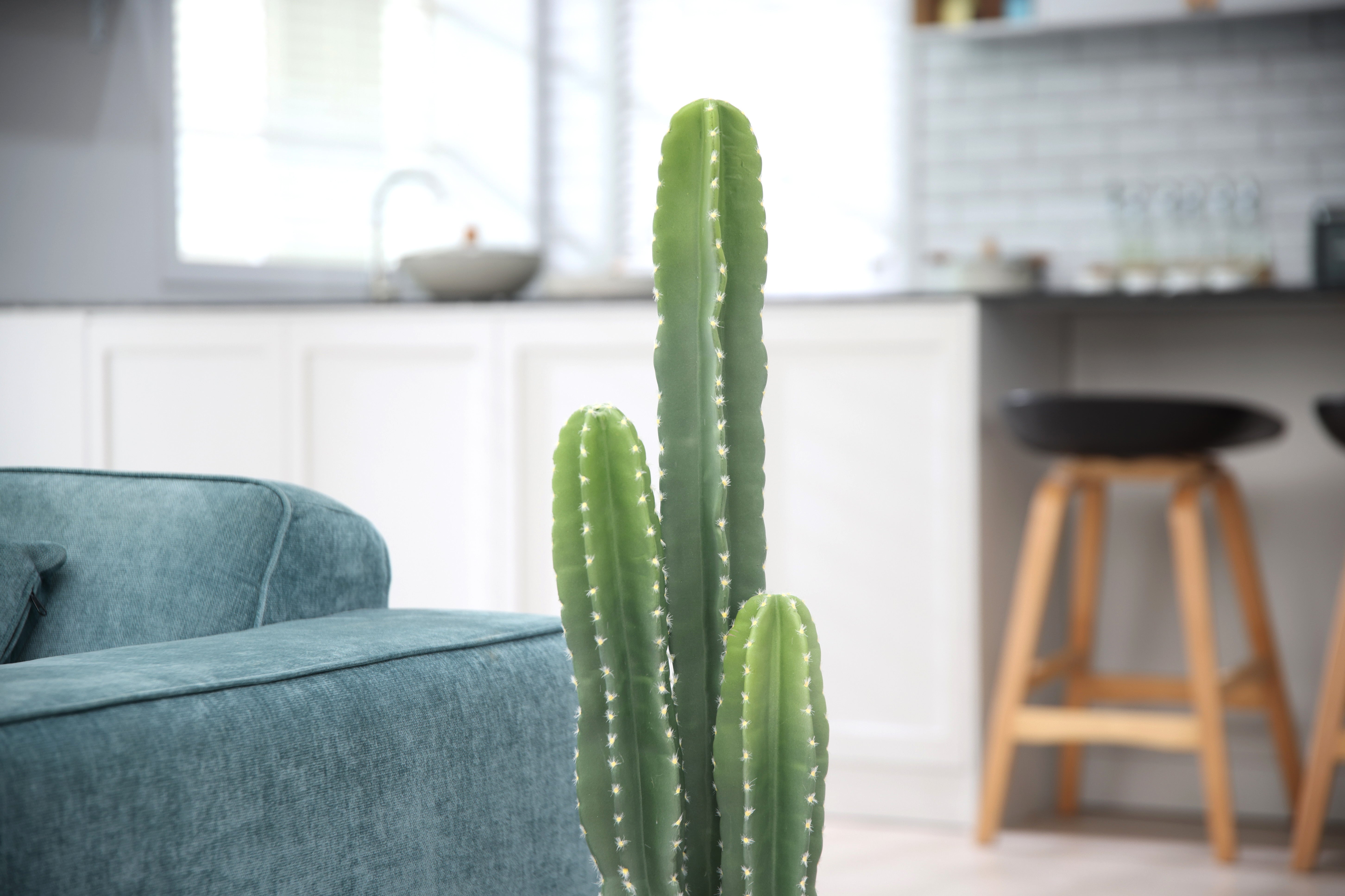 tall indoor cactus plants 39" Tall Artificial Faux Cactus for Home Decor