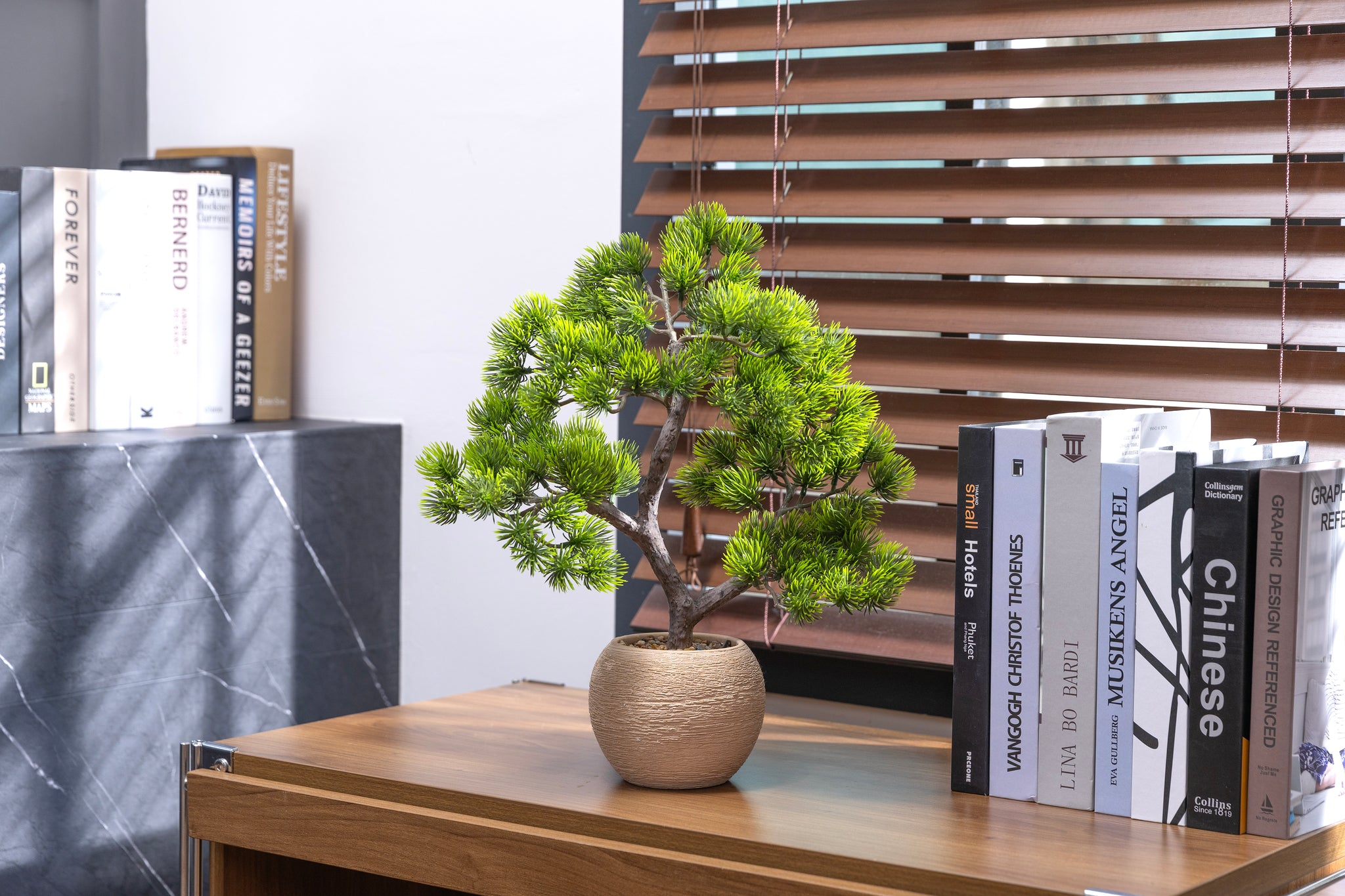 2-pack 14” Faux Bonsai Trees with real touch leaves, in a modern beige –  Vintage Home