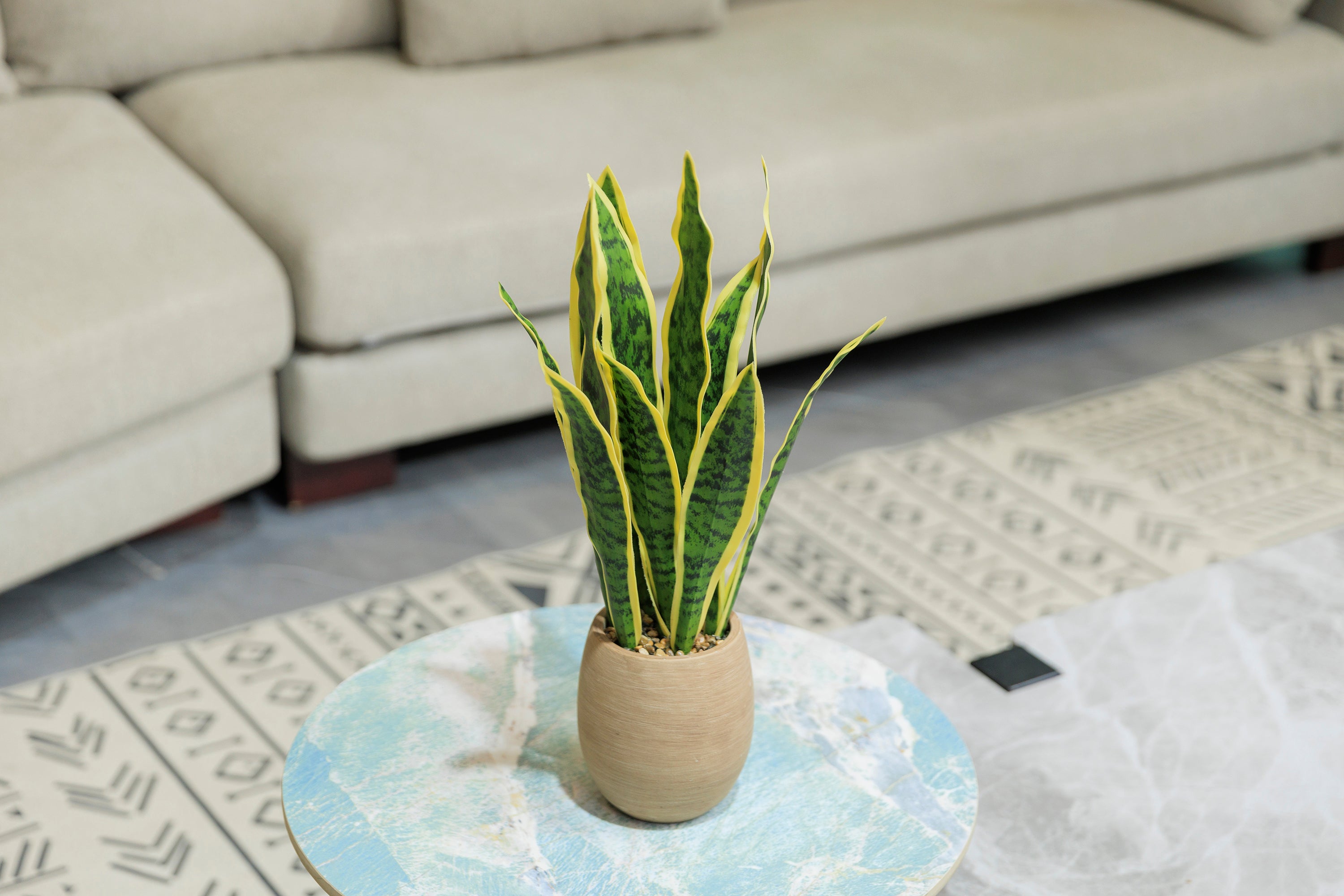 planters for snake plant 2-Pack 18" Faux Snake plant in White Ceramic Planters – Vintage Home