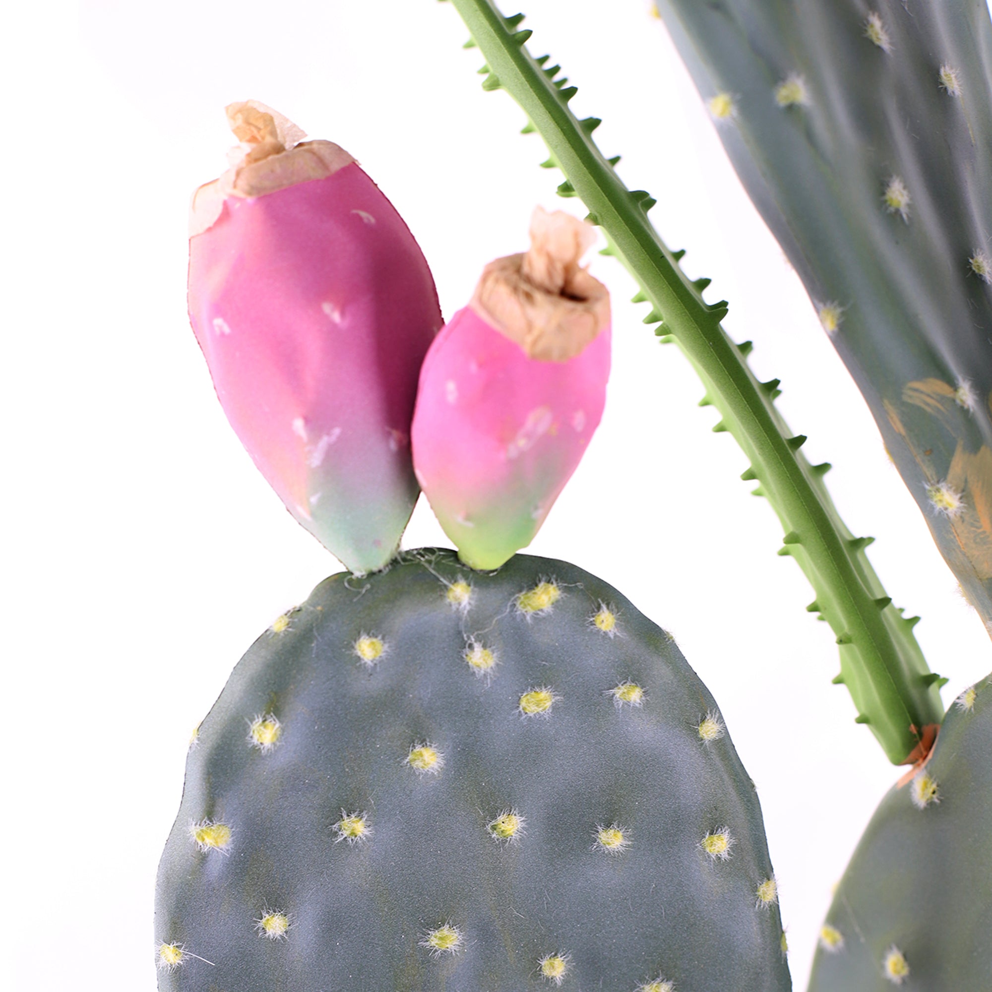 artificial prickly pear cactus plants Artificial Faux Prickly Pear Cactus with Pink Blooms
