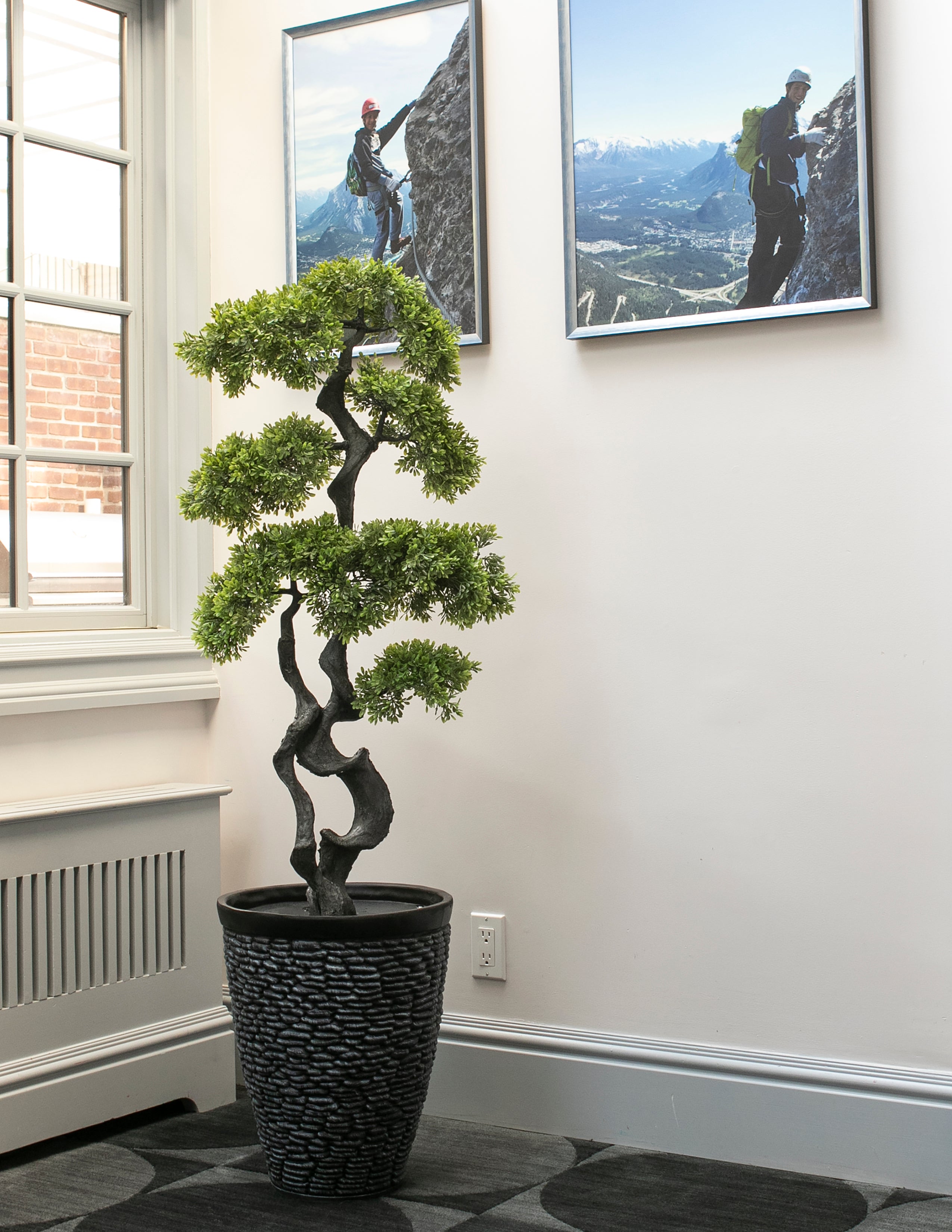 buy artificial bonsai tree Elegant Artificial Bonsai Tree Plant | 49"