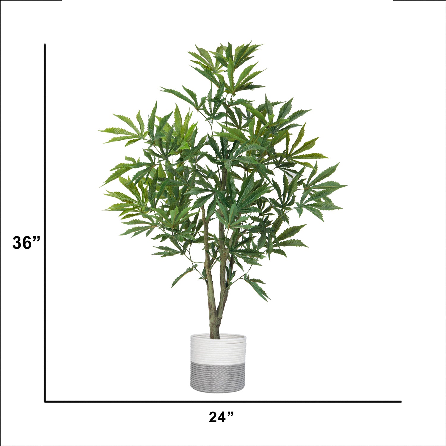 fake plastic weed plants 57 Cannabis Plant Vintage Home