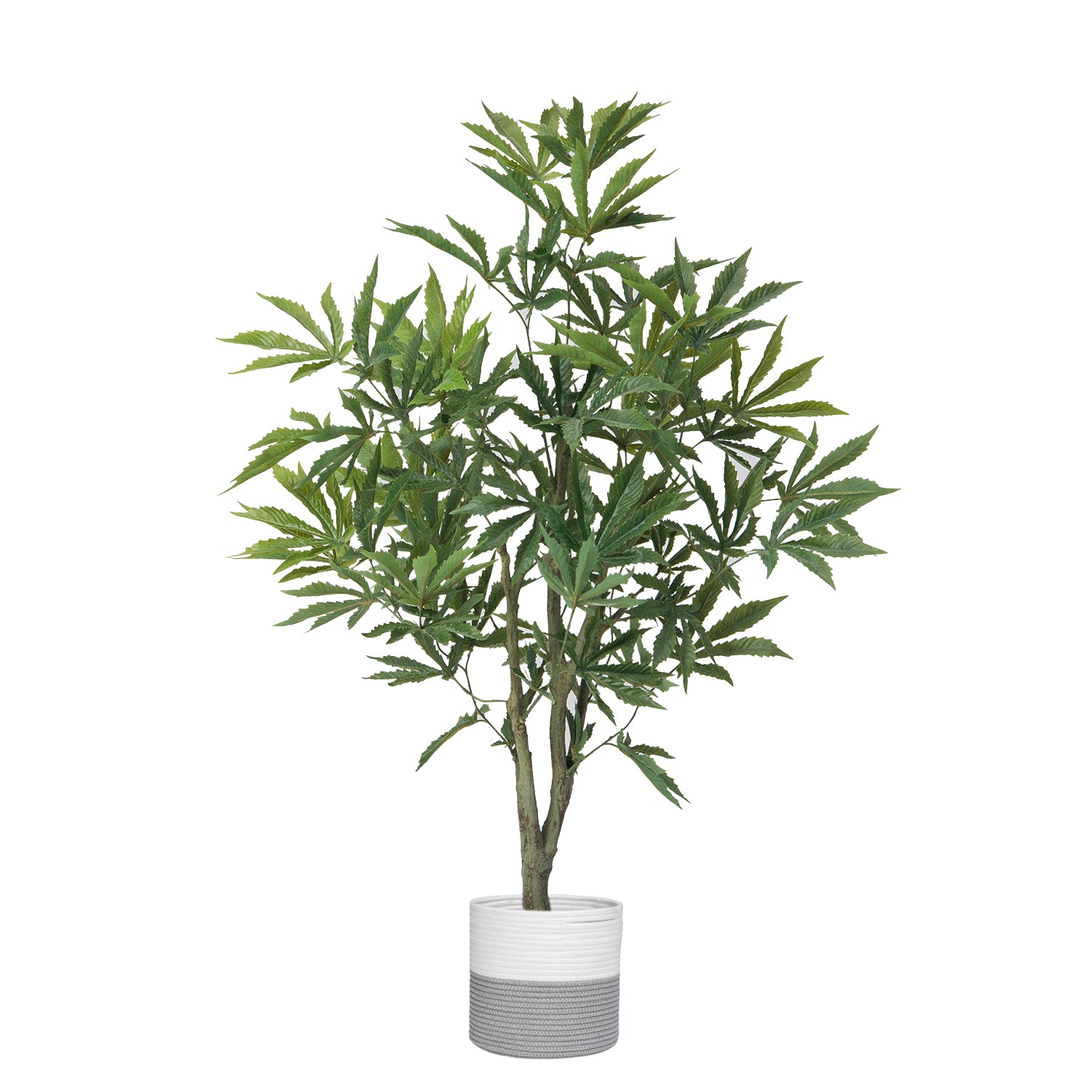 house plants that look like weed 50.3'' Artificial Cannabis Tree in A Tall Beige Fiberstone Planter Perfect For Indoor And Outdoor Use Vintage Home