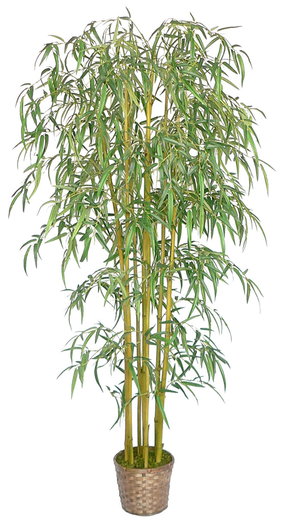 Tall Artificial Bamboo Tree with Planter | 72" | Vintage Home