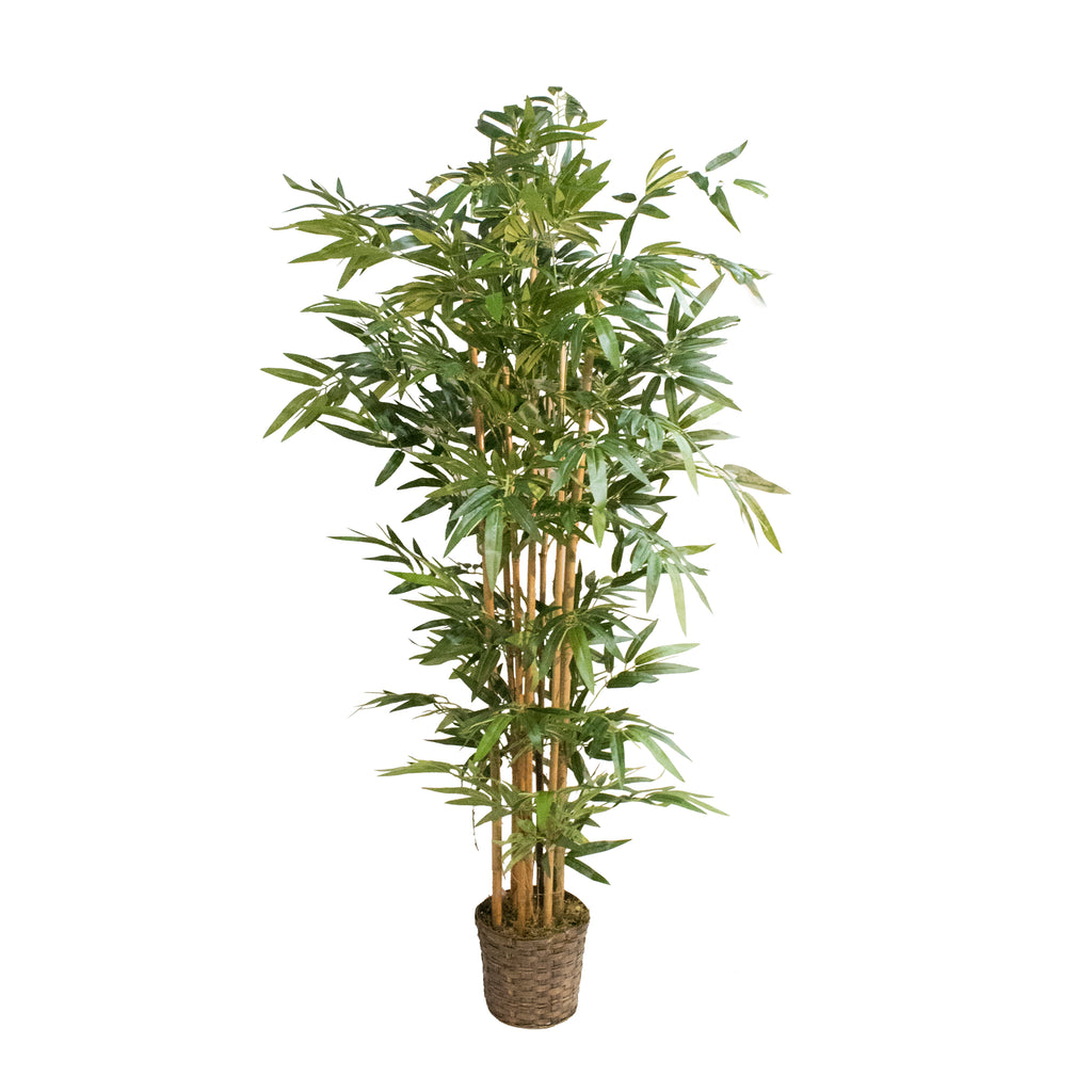 Tall Fake Bamboo Tree in Wicker Planter | 72" | Vintage Home