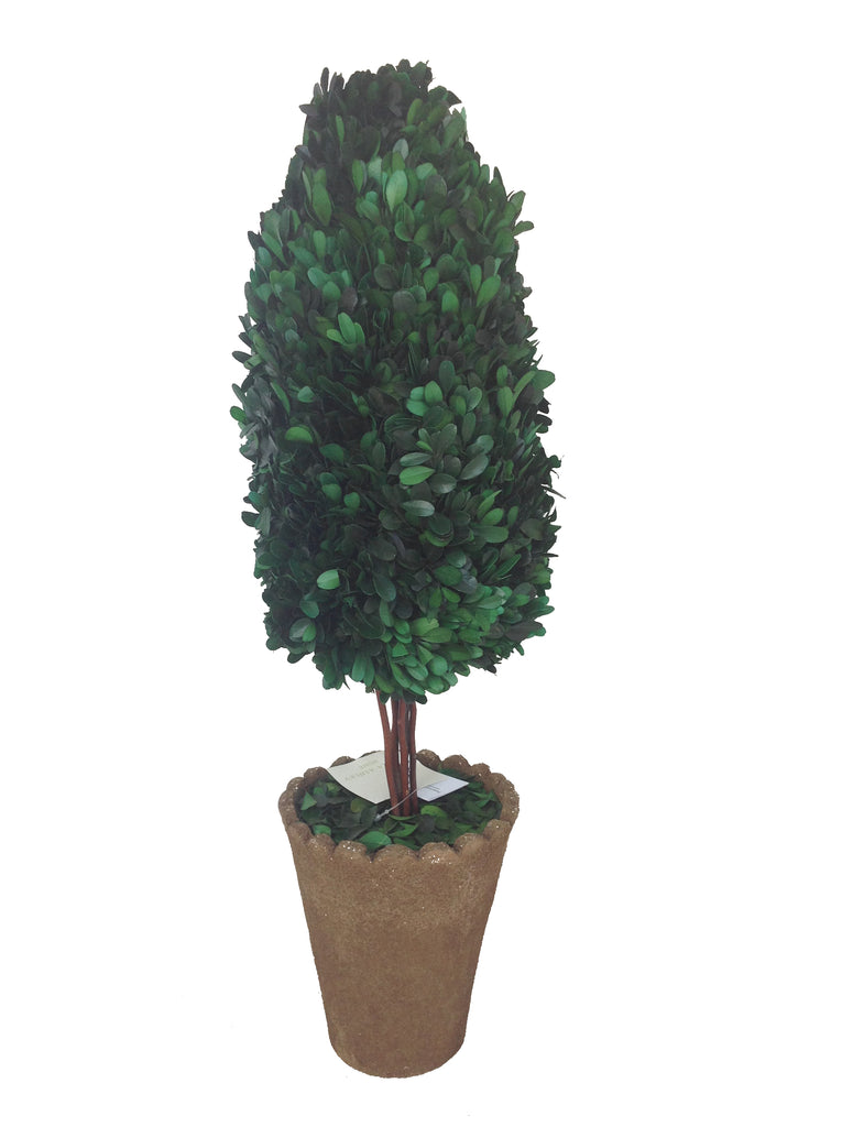 Artificial Natural Boxwood Tree in Clay Pot| 25" | Vintage Home
