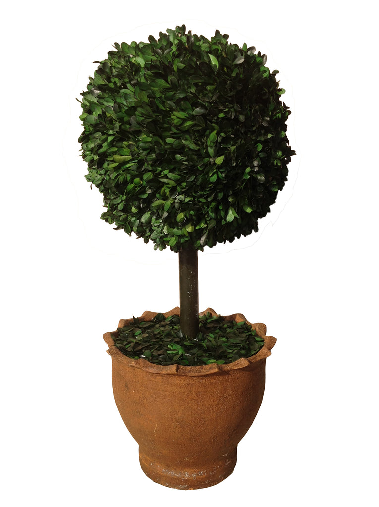 Artificial Natural Boxwood Tree in Clay Pot| 29" | Vintage Home