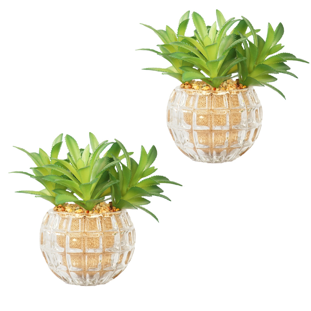 Artificial Succulents for Indoor/Outdoor | 2-Pack| 7" | Vintage Home