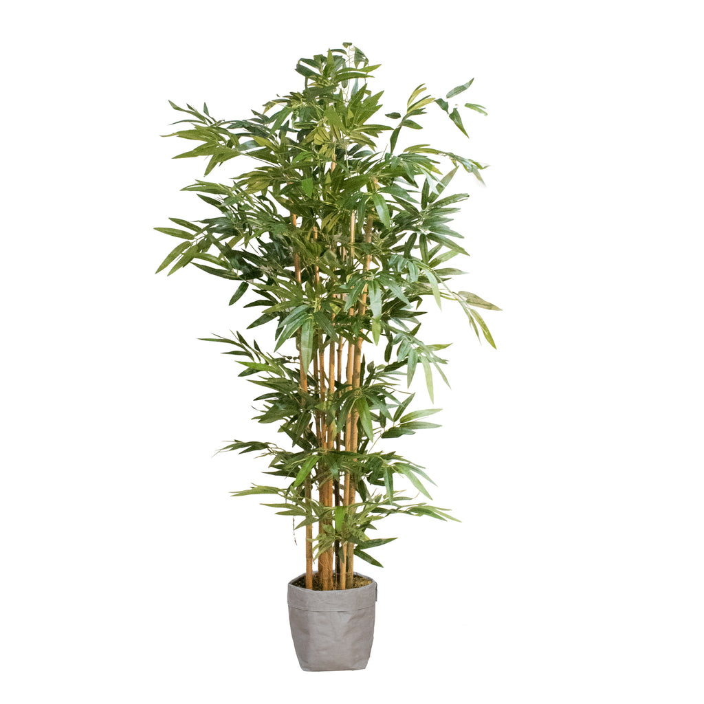 Tall Artificial Bamboo Tree in Eco Planter | 72" | Vintage Home