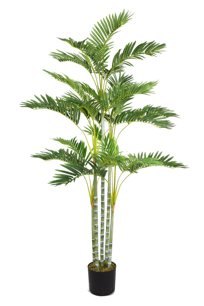 Tall Artificial Palm Tree w/ Real Touch | 68" | Vintage Home