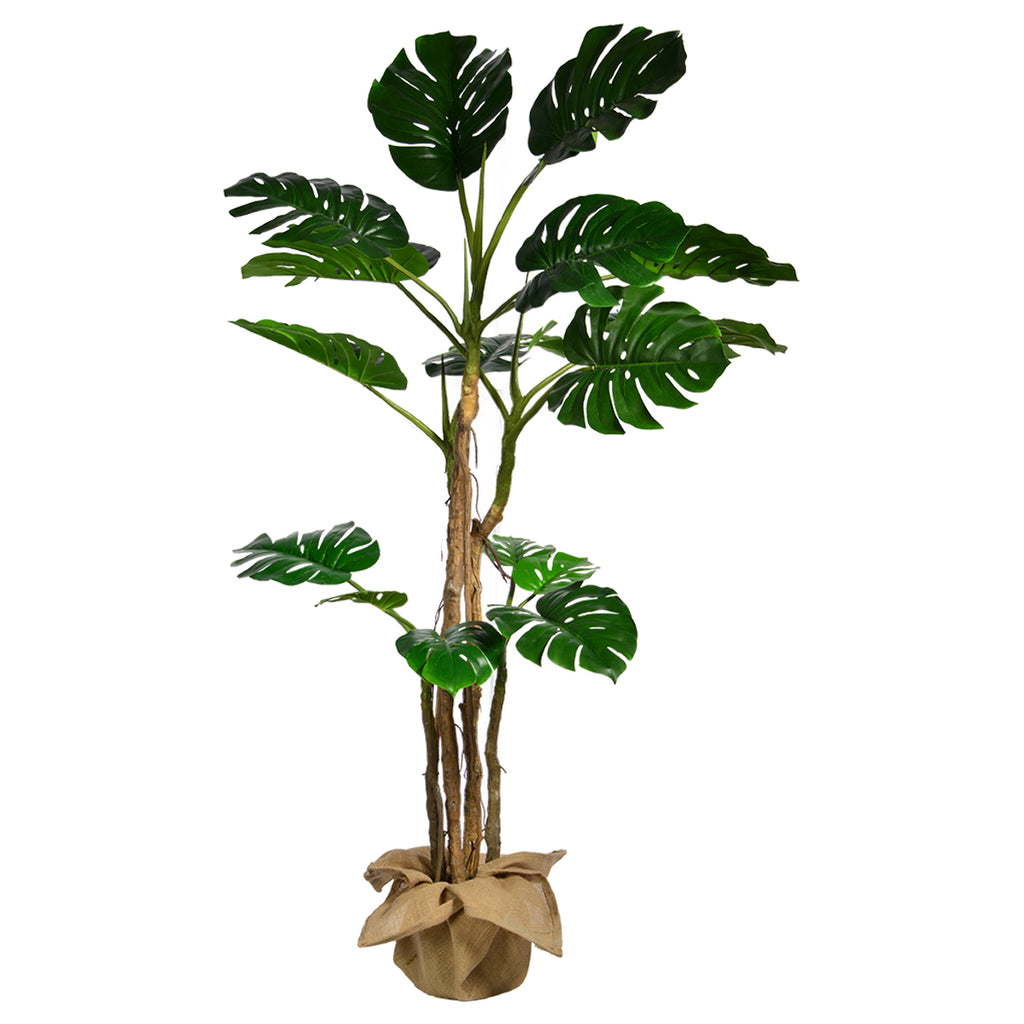 Fake Monstera Plant in Burlap Covered Pot | 72" | Vintage Home