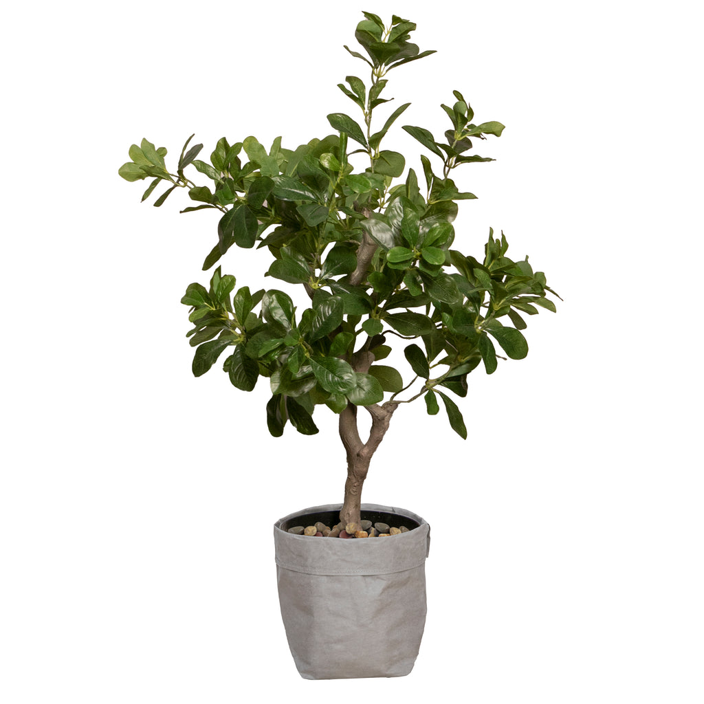 Artificial Tung Tree with Real Touch | 32"| Vintage Home